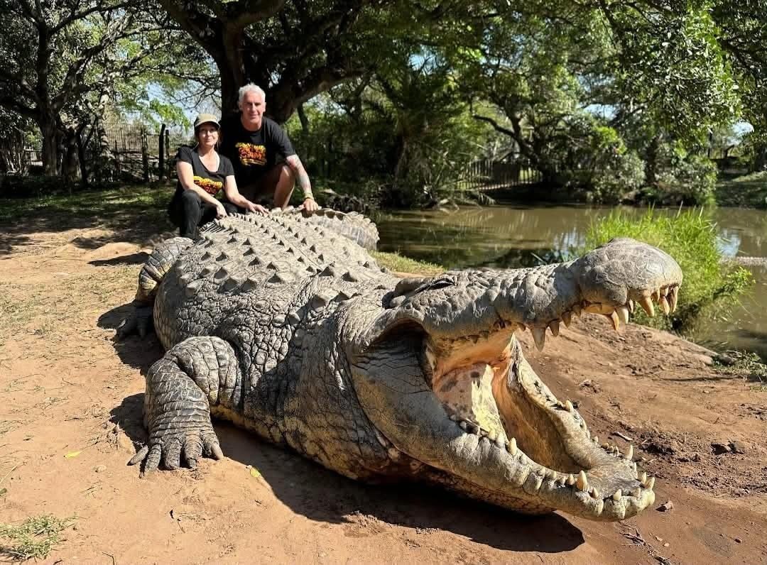 Peter Birch and his wife Joanne seated behind a large crocodile